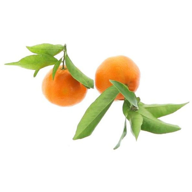 CLEMENTINE COLOMBE 8KG